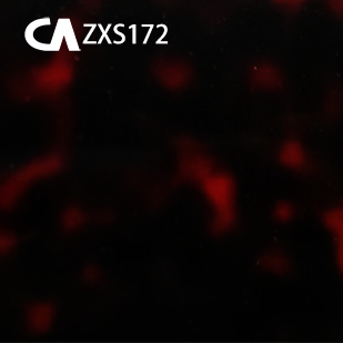 623GV0