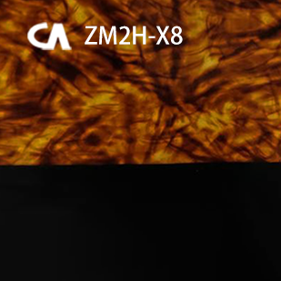 623GV0